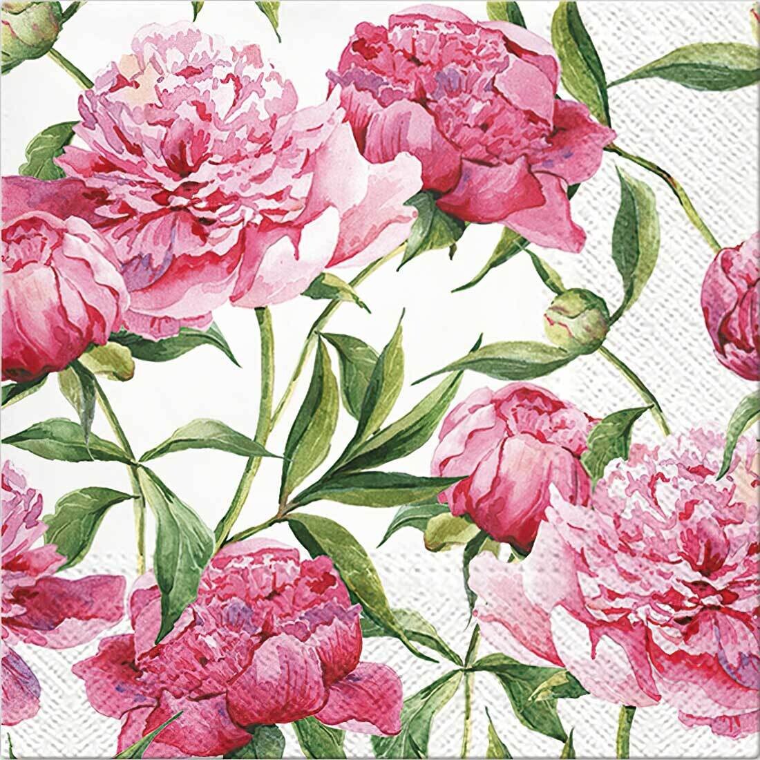 Decoupage Paper Napkins - Floral - Pink Peonies (1 Sheet)