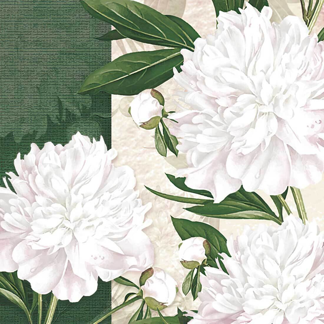 Decoupage Paper Napkins - Floral - Dewed White Peonies (1 Sheet)