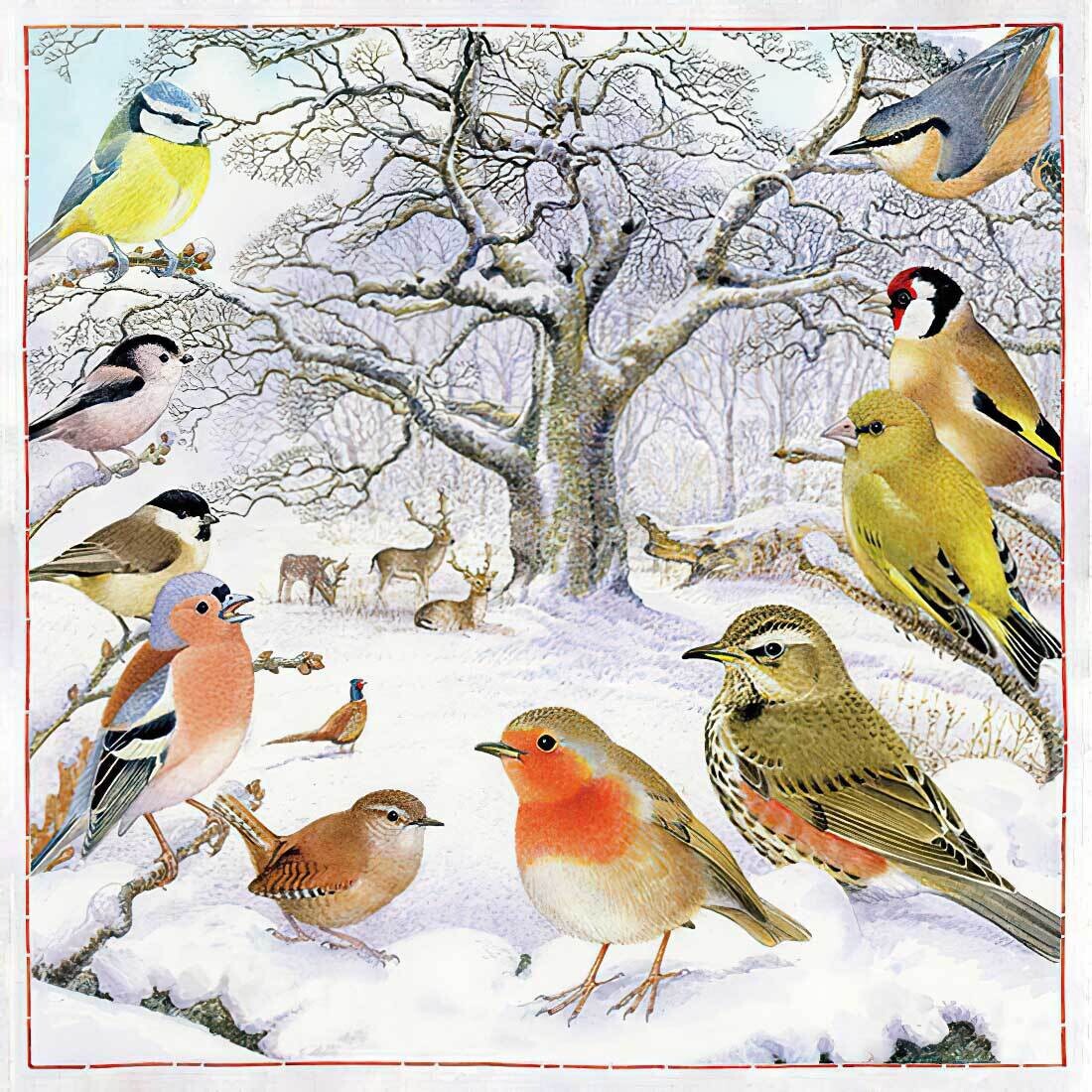 Decoupage Paper Napkins - Bird - Bird Meeting (1 Sheet)