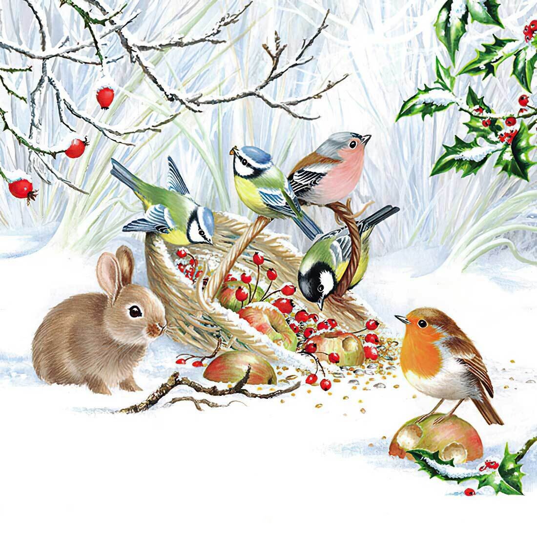 Decoupage Paper Napkins - Bird - A Winter Treat (1 Sheet)