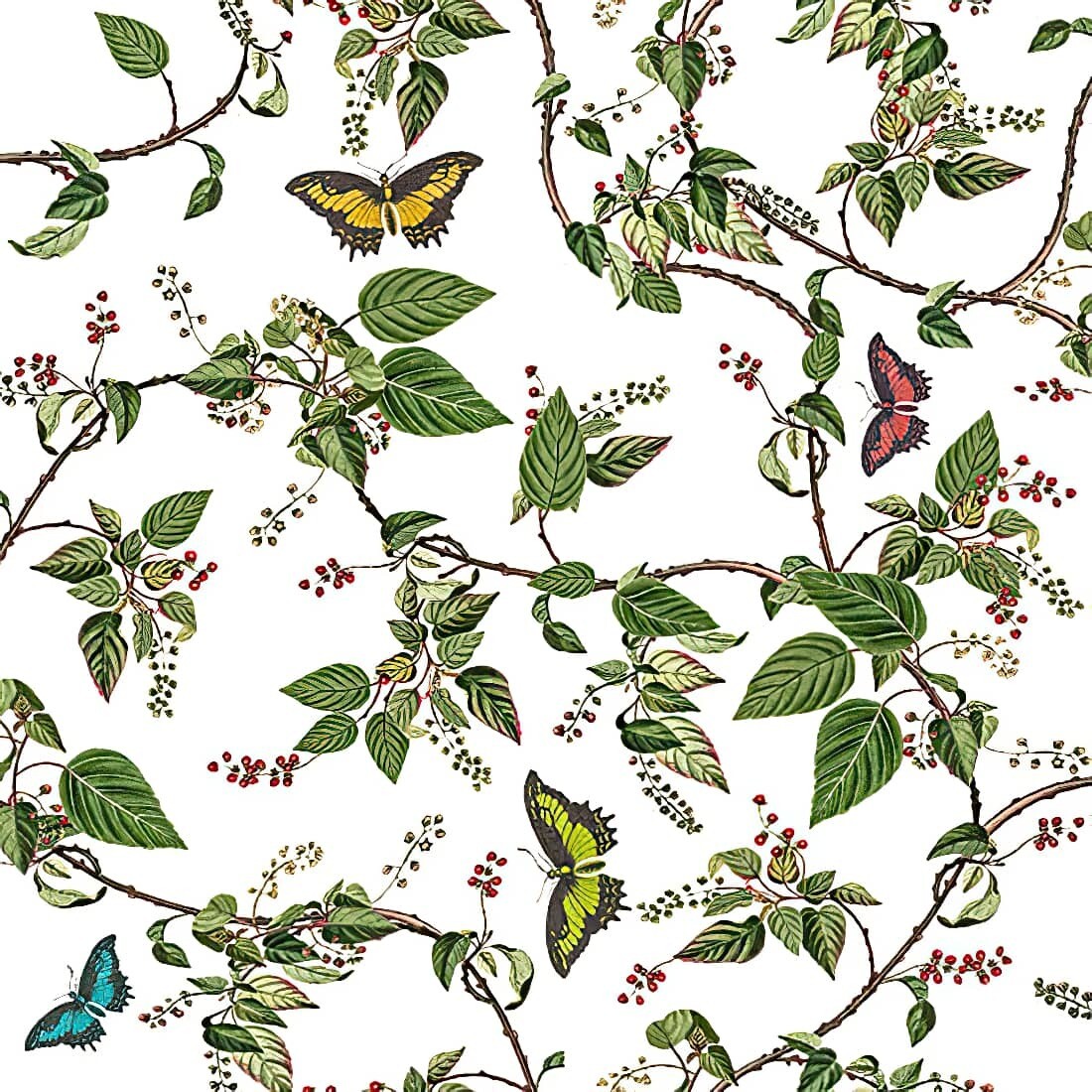 Decoupage Paper Napkins - Butterflies - Butterfly Paradise (1 Sheet) Out of Stock