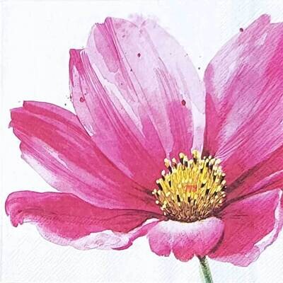 Decoupage Paper Napkins - Floral - Ally (1 Sheet) Out of Stock