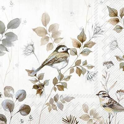 Decoupage Paper Napkins - Bird - Woodland Birds Nature
 (1 Sheet)