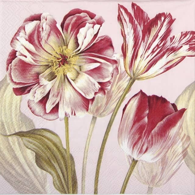 Decoupage Paper Napkins - Floral - Majestic Tulips Pink (1 Sheet)
