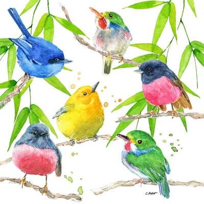 Decoupage Paper Napkins - Bird - Bird Paradise (1 Sheet)