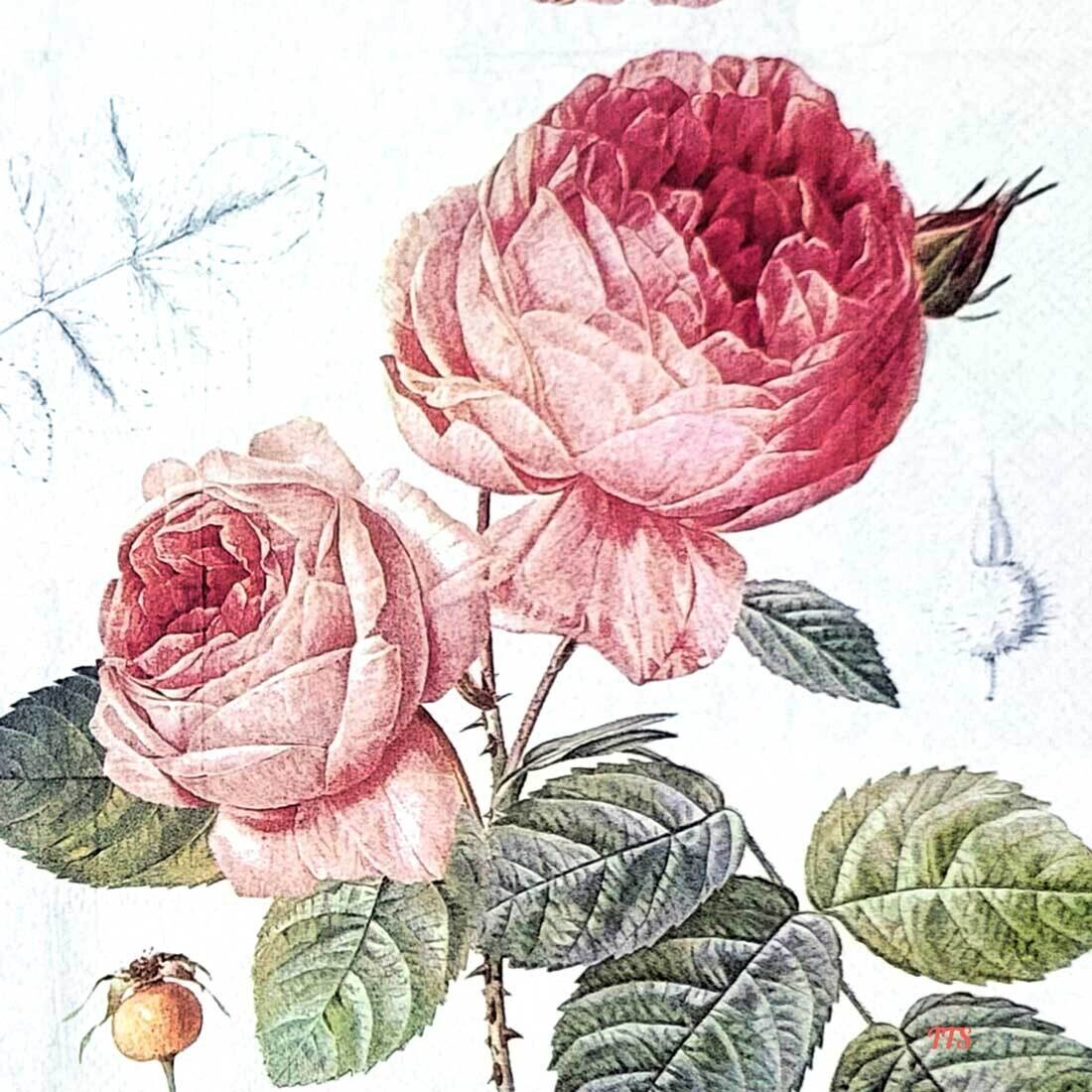 Decoupage Paper Napkins - Floral - Elisabeth (1 Sheet)