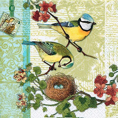Decoupage Paper Napkins - Bird - Bird Family (1 Sheet)
