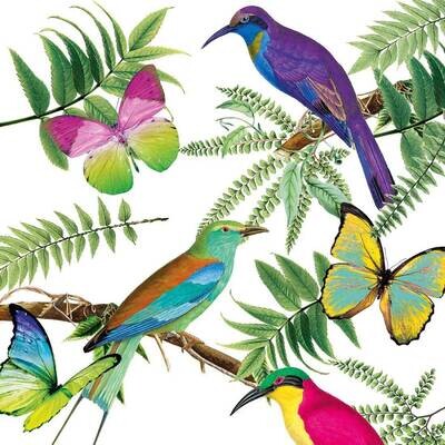 Decoupage Paper Napkins - Bird - Tropical Birds (1 Sheet)