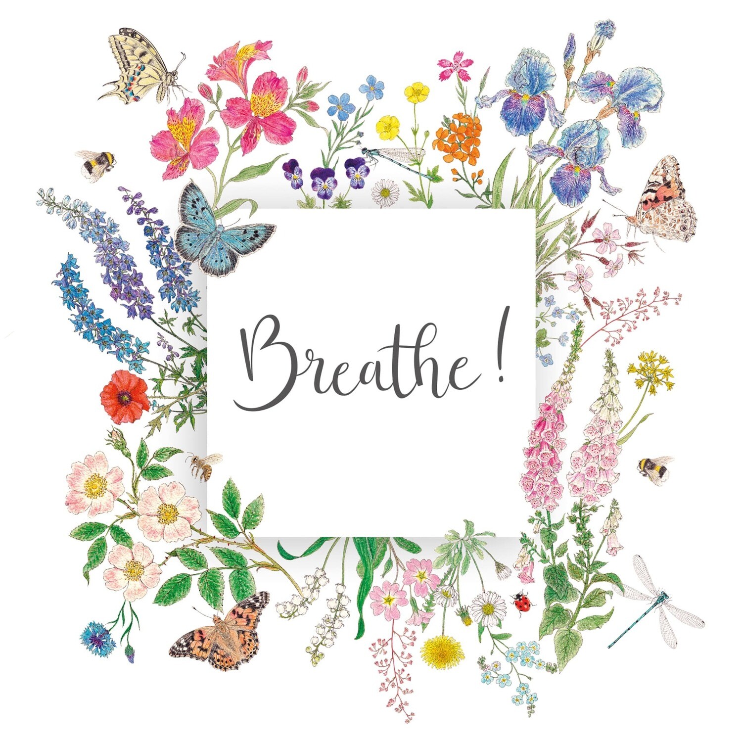 Decoupage Paper Napkins - Butterflies - Nature Breathe (1 Sheet)
