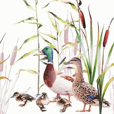 Decoupage Paper Napkins - Bird - Ducks Couple (1 Sheet)
