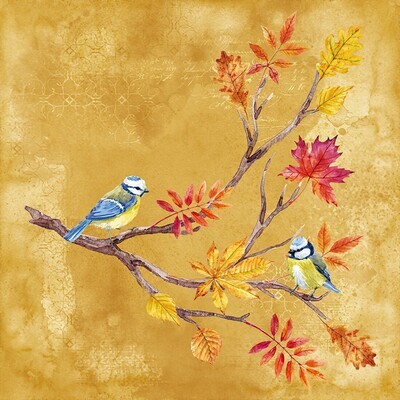 Decoupage Paper Napkins - Bird - Oiseaux Sur Branche De (1 Sheet)