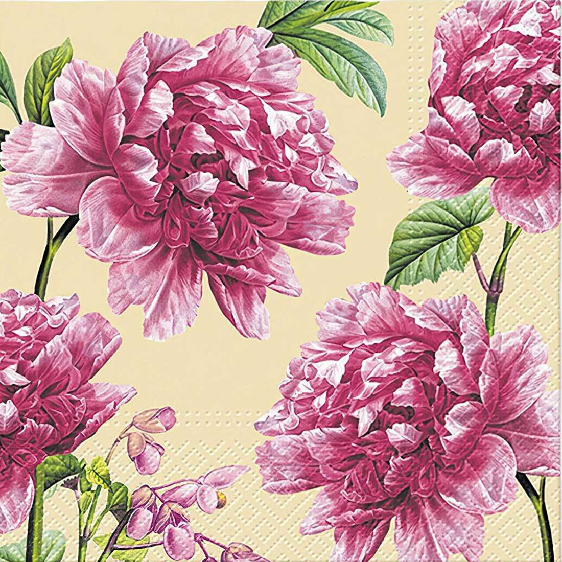 Decoupage Paper Napkins - Floral - Beautiful Peonies (1 Sheet)