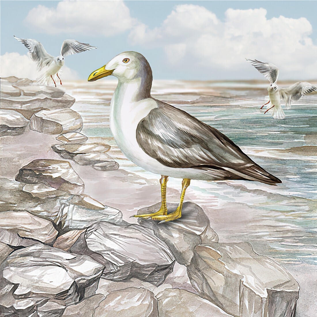Decoupage Paper Napkins - Bird -Seagull On The Shore (1 Sheet)