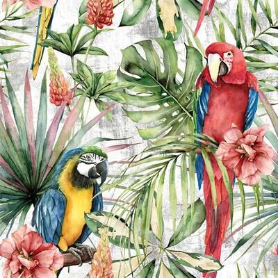 Decoupage Paper Napkins - Bird - Macaw (1 Sheet)
