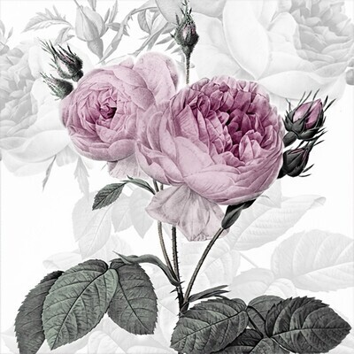 Decoupage Paper Napkins - Floral - Purple Vintage Rose (1 Sheet)