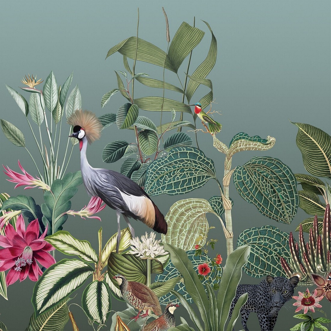 Decoupage Paper Napkins - Bird - Amazonas (1 Sheet)