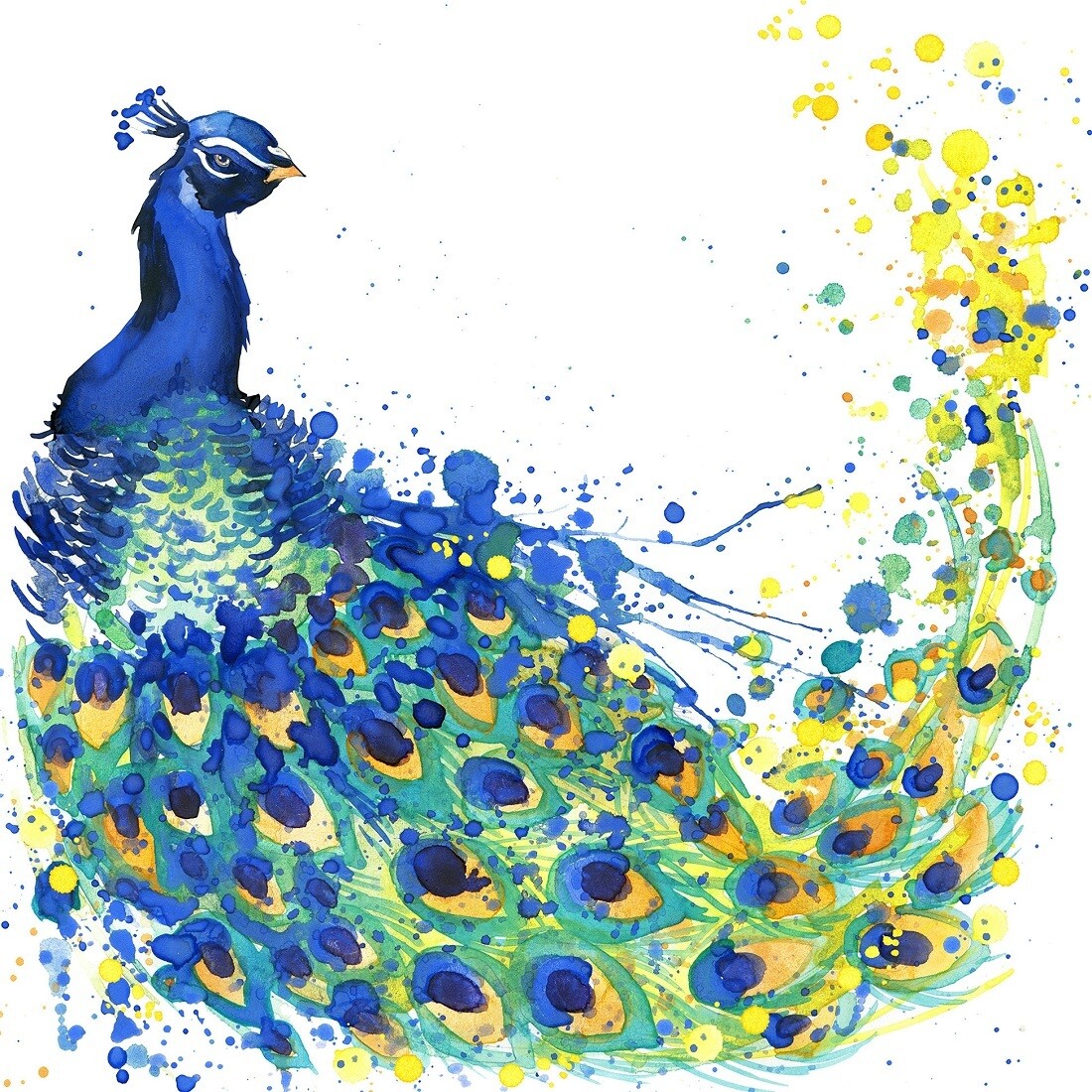 Decoupage Paper Napkins - Bird - Coloured Peacock