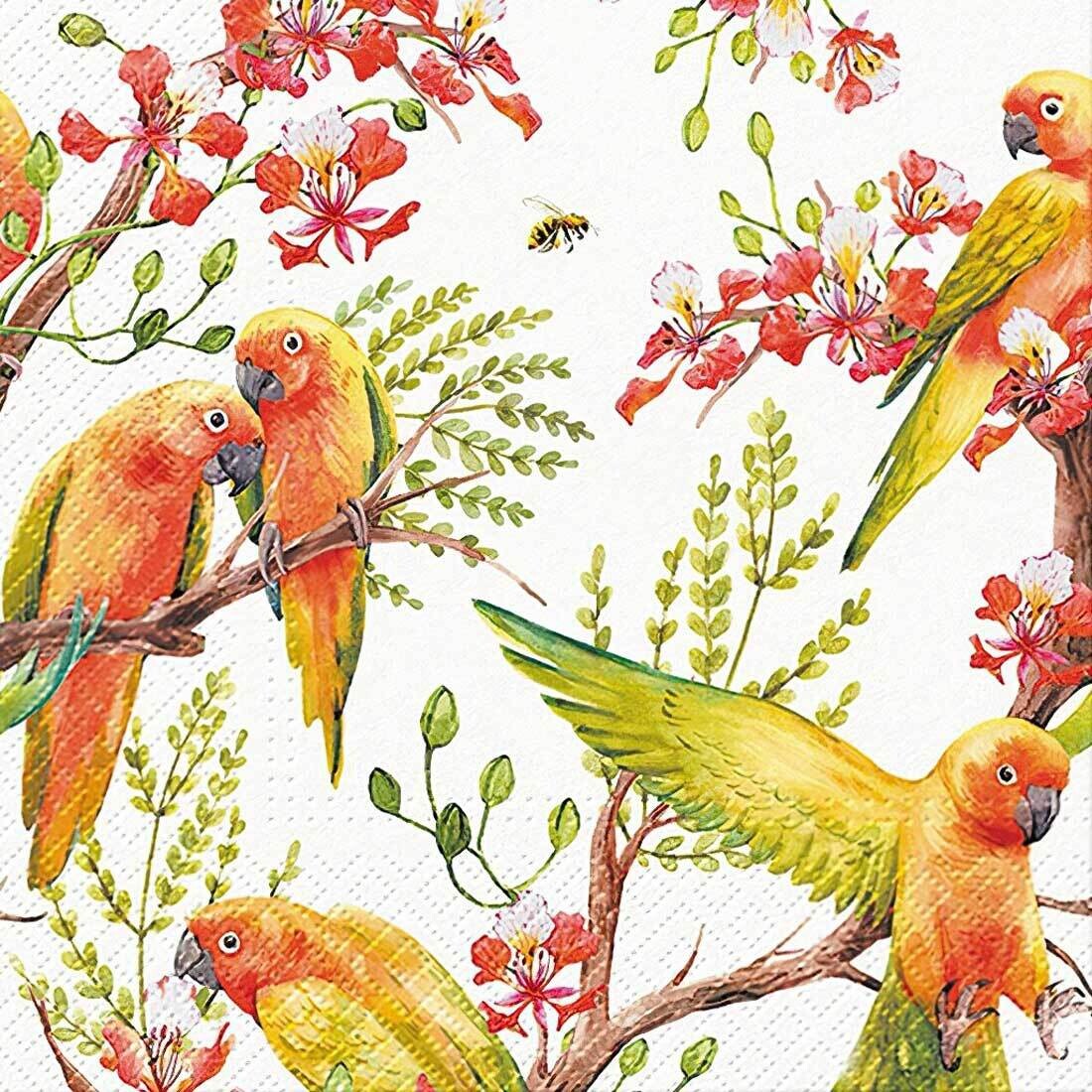 Decoupage Paper Napkins - Bird - Exotic Birds