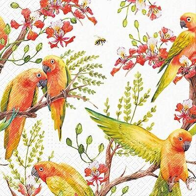 Decoupage Paper Napkins - Bird - Exotic Birds