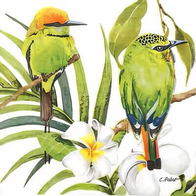 Decoupage Paper Napkins - Bird - Bali (1 Sheet)
