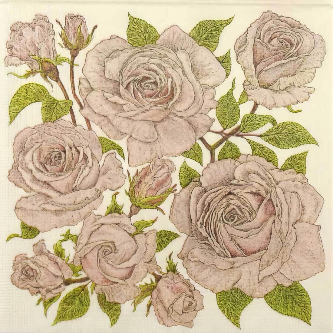 Decoupage Paper Napkins - Floral - Roses (Cream)