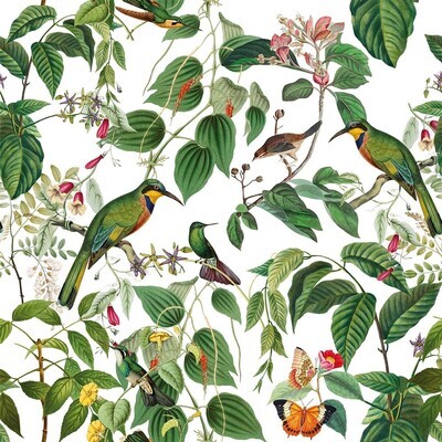 Decoupage Paper Napkins - Bird - Mauritius