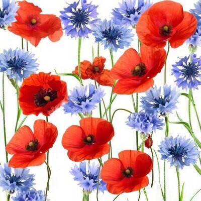 Decoupage Paper Napkins - Floral - Summerfield