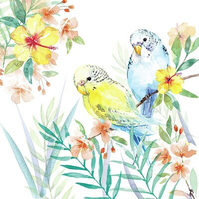 Decoupage Paper Napkins - Bird - Budgies Couple