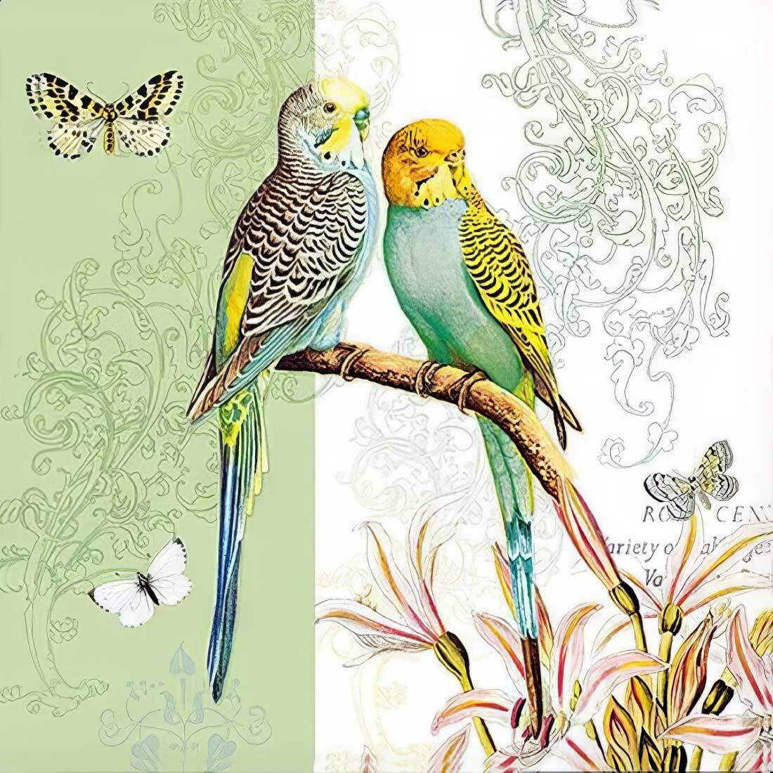 Decoupage Paper Napkins - Bird - Budgies Green