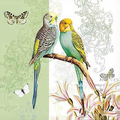 Decoupage Paper Napkins - Bird - Budgies Green