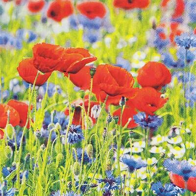 Decoupage Paper Napkins - Floral - Poppies And Cornflowers