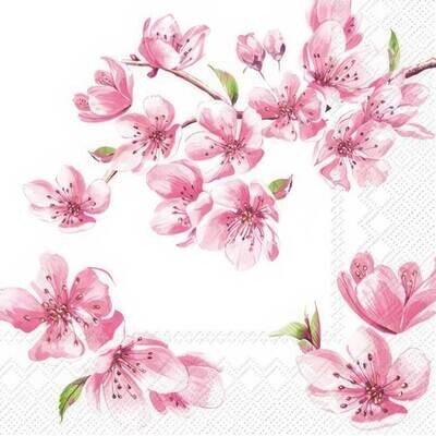 Decoupage Paper Napkins - Floral - Sakura Rose
This delicate Sakura Rose design against a pristine white background is sure to elevate your crafting projects with the timeless beauty and graceful charm of these stunning napkins. Crafted from premium-quality paper, our napkins are lightweight yet durable, making them ideal for a wide range of decoupage applications. The intricate Sakura Rose pattern adds a touch of sophistication and floral elegance to your creations, creating a captivating visual impact.