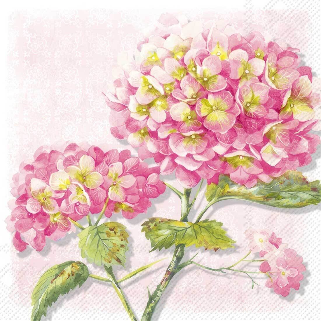 Decoupage Paper Napkins - Floral - Lorea Rose
The Decoupage tissue paper features a delicate and enchanting design of pink hydrangea blossoms. The intricately illustrated flowers exhibit varying shades of pink, from soft pastels to deeper hues, creating a sense of depth and dimension. Each blossom is adorned with delicate details, such as delicate petals and small clusters of yellow stamen. The green leaves provide a natural contrast to the pink blooms, adding to the overall elegance of the design. The subtle white background, adorned with intricate patterns, enhances the ethereal and romantic feel of the tissue paper. This design would be perfect for adding a touch of floral beauty to various crafting projects.
