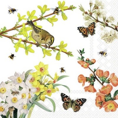 Decoupage Paper ins - ButterNapkflies - Spring Awakening
The Decoupage tissue paper showcases a delightful springtime scene teeming with vibrant flora and fauna. The design features a variety of beautifully illustrated elements, including blooming branches of forsythia and cherry blossoms, accompanied by clusters of daffodils and other colorful flowers. Among the flowers and branches, there are charming butterflies fluttering gracefully, adding a touch of whimsy to the composition. Additionally, several busy bees are depicted buzzing around the blossoms, contributing to the lively and natural ambiance of the design.