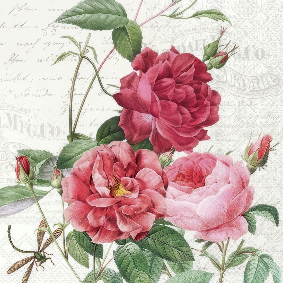 Decoupage Paper Napkins - Floral - Amber

This decoupage tissue paper napkin features a beautiful vintage-style floral design. The napkin showcases intricate illustrations of pink and red roses in various stages of blooming, surrounded by lush green leaves and delicate stems. Set against a backdrop of faded handwritten text and decorative elements, the design exudes a nostalgic charm. Additionally, a small insect, possibly a grasshopper or a cricket, adds an unexpected detail to the composition. This elegant napkin would be perfect for decoupage projects, adding a touch of timeless elegance to any craft or table setting.