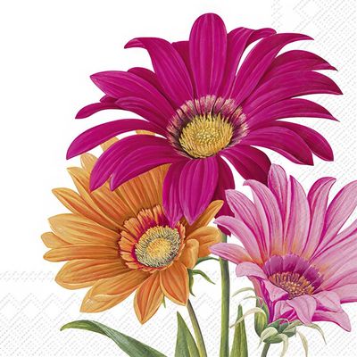 Decoupage Paper Napkins - Floral - Joyful Gerbera White
This decoupage paper napkin features a vibrant bouquet of colorful flowers. The central focus is on three gerbera daisies in shades of pink, orange, and yellow. The intricate details of the petals and delicate stamens are beautifully depicted. The background is white, providing a clean and elegant backdrop for the floral arrangement. This napkin would add a cheerful and artistic touch to any decoupage project.
