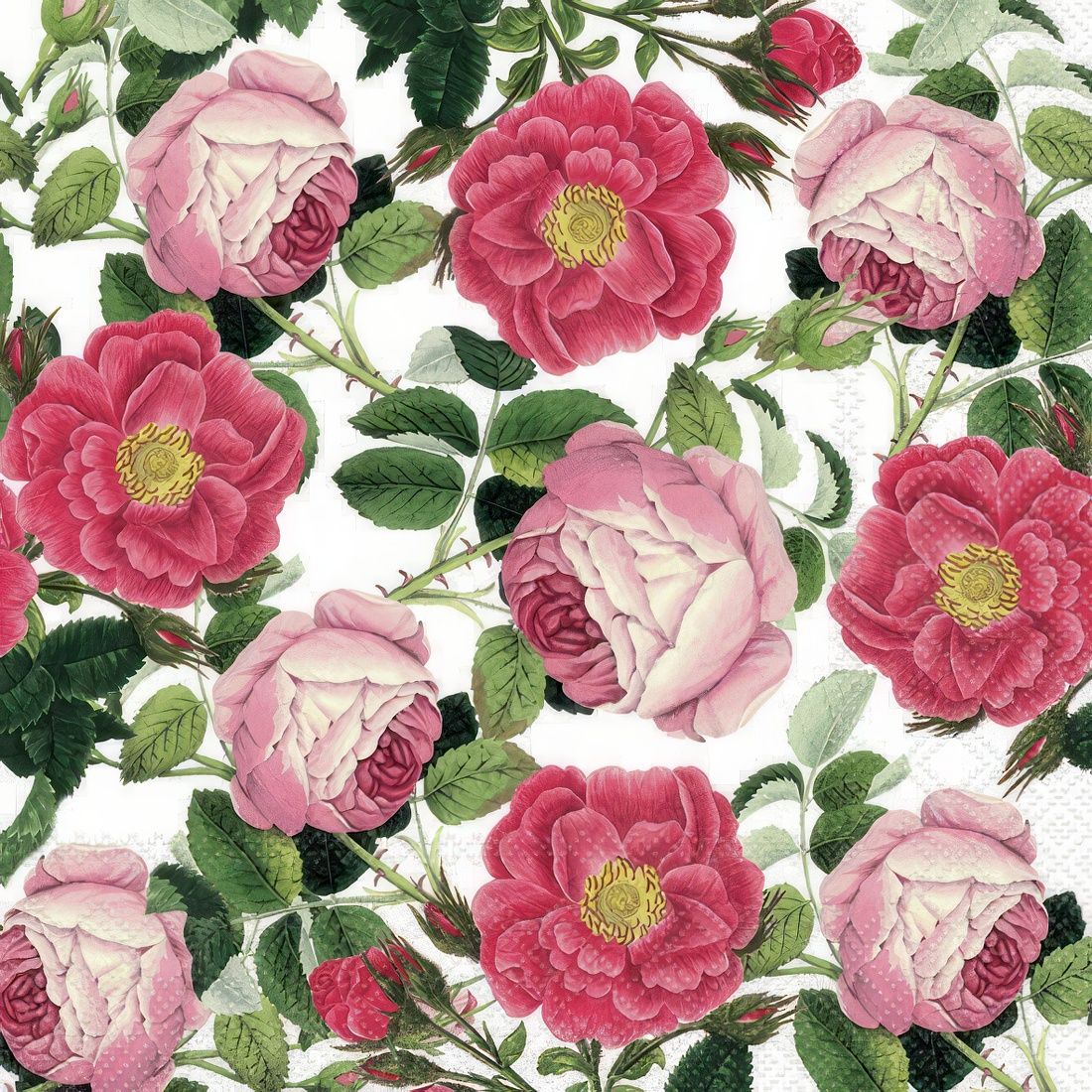 Decoupage Paper Napkins - Floral - Rosaline White

Unleash your inner artist with these delicate pink roses blooming beautifully on a fresh white canvas. A pop of pink perfection against a pristine white backdrop - because who doesn&#39;t love a classic combo? Let these charming pink roses transport you to a serene oasis, where peace and beauty reign supreme.