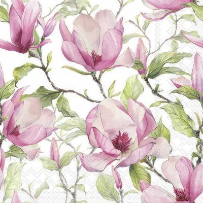 Decoupage Paper Napkins - Floral - Blooming Magnolia

Transforming plain napkins into a floral masterpiece with these stunning magnolia decals. Bring the garden vibes indoors with this whimsical touch! Channel your inner artist today with these beautiful decoupage tissue paper.