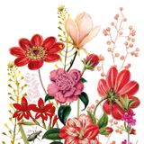 Decoupage Paper Napkins - Floral - Floria

This decoupage paper napkin features a vibrant and elegant floral design. It showcases an array of flowers in various shades of red, pink, and yellow, with intricate detailing and realistic textures. The central focus includes a mix of blossoms, such as daisies, peonies, and lilies, surrounded by delicate leaves and buds. The background is a clean white, allowing the vivid colors of the flowers to stand out, making it a perfect choice for adding a touch of nature and sophistication to any project.