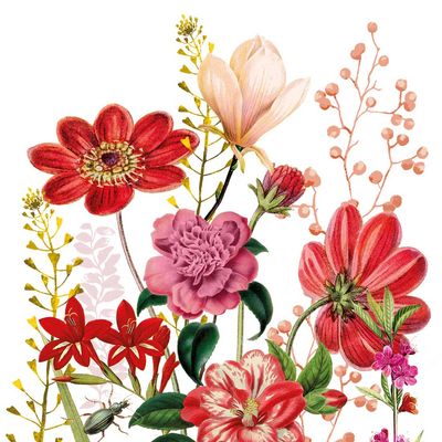 Decoupage Paper Napkins - Floral - Floria
This decoupage paper napkin features a vibrant and elegant floral design. It showcases an array of flowers in various shades of red, pink, and yellow, with intricate detailing and realistic textures. The central focus includes a mix of blossoms, such as daisies, peonies, and lilies, surrounded by delicate leaves and buds. The background is a clean white, allowing the vivid colors of the flowers to stand out, making it a perfect choice for adding a touch of nature and sophistication to any project.