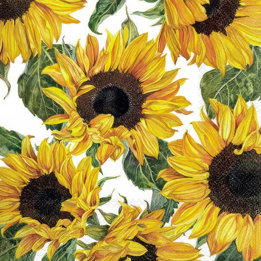 Decoupage Paper Napkins - Floral - Sunflowers Blossoming

This decoupage paper napkin features a vibrant and cheerful design of sunflowers in full bloom. The richly detailed sunflowers, with their bright yellow petals and dark brown centers, are arranged against a crisp white background, creating a striking and lively composition. The lush green leaves add a touch of natural beauty, enhancing the overall aesthetic. Perfect for bringing a burst of sunshine and warmth to any crafting project.




