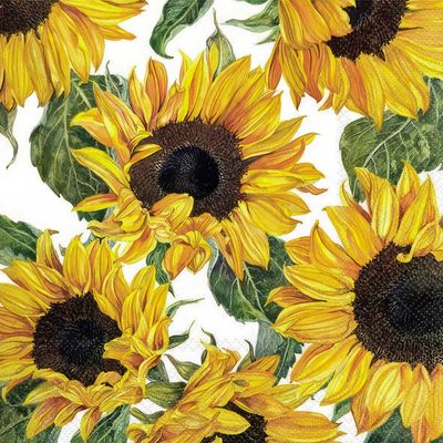 Decoupage Paper Napkins - Floral - Sunflowers Blossoming

This decoupage paper napkin features a vibrant and cheerful design of sunflowers in full bloom. The richly detailed sunflowers, with their bright yellow petals and dark brown centers, are arranged against a crisp white background, creating a striking and lively composition. The lush green leaves add a touch of natural beauty, enhancing the overall aesthetic. Perfect for bringing a burst of sunshine and warmth to any crafting project.





