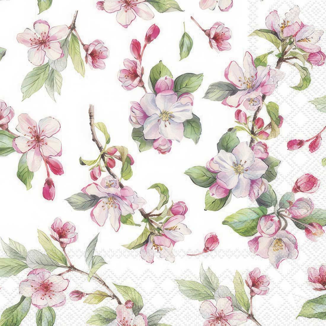 Decoupage Paper Napkins - Floral - Spring Blossom White

This decoupage paper napkin features a delightful design of spring blossoms in soft, pastel shades. The flowers are beautifully detailed with delicate pink petals and a hint of white, accompanied by vibrant green leaves. The blossoms appear on slender branches, some in full bloom and others as buds, capturing the essence of springtime renewal. The white background enhances the freshness of the design, while subtle lace-like patterns along the edges add a touch of elegance. This napkin is perfect for bringing a fresh, floral feel to any crafting or decorating project.