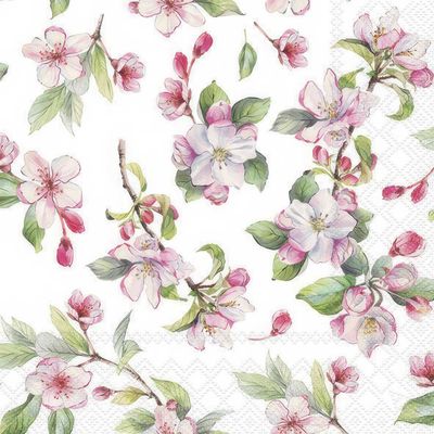 Decoupage Paper Napkins - Floral - Spring Blossom White

This decoupage paper napkin features a delightful design of spring blossoms in soft, pastel shades. The flowers are beautifully detailed with delicate pink petals and a hint of white, accompanied by vibrant green leaves. The blossoms appear on slender branches, some in full bloom and others as buds, capturing the essence of springtime renewal. The white background enhances the freshness of the design, while subtle lace-like patterns along the edges add a touch of elegance. This napkin is perfect for bringing a fresh, floral feel to any crafting or decorating project.