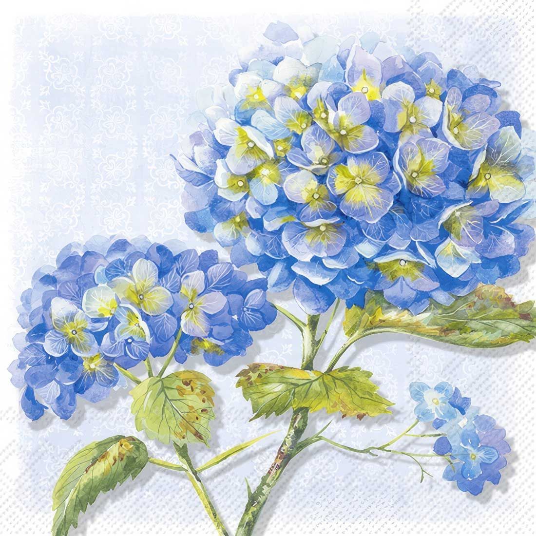 Decoupage Paper Napkins - Floral - Lorea Blue

This decoupage paper napkin features a beautiful design of blue hydrangea blossoms in full bloom. The flowers are depicted in delicate shades of blue and lavender, with subtle hints of yellow in the centers, adding a touch of vibrancy. The leaves are detailed in soft greens, with some brown spots that add a natural, rustic charm. The background is a gentle, pale blue with intricate lace-like patterns, giving the napkin a classic and elegant feel. This design is perfect for adding a touch of floral elegance to any decoupage project.