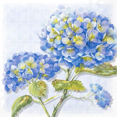 Decoupage Paper Napkins - Floral - Lorea Blue

This decoupage paper napkin features a beautiful design of blue hydrangea blossoms in full bloom. The flowers are depicted in delicate shades of blue and lavender, with subtle hints of yellow in the centers, adding a touch of vibrancy. The leaves are detailed in soft greens, with some brown spots that add a natural, rustic charm. The background is a gentle, pale blue with intricate lace-like patterns, giving the napkin a classic and elegant feel. This design is perfect for adding a touch of floral elegance to any decoupage project.