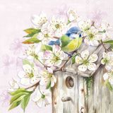 Decoupage Paper Napkins - Bird - Cherry Blossom Birdhouse Rose

This decoupage paper napkin captures a serene and picturesque springtime scene featuring a rustic wooden birdhouse adorned with delicate cherry blossoms in full bloom. A charming blue and yellow bird perches contentedly on one of the branches, adding a lively touch to the peaceful setting. The soft pastel blue background, subtly patterned with floral imprints, enhances the gentle, nature-inspired theme. This napkin is perfect for crafting projects that evoke the beauty and tranquility of spring, making it an ideal choice for seasonal decorations or nature-themed art.