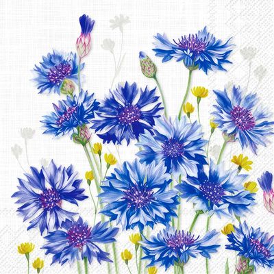 Decoupage Paper Napkins - Floral - Zyane Light Grey

This decoupage paper napkin features a beautiful arrangement of blue cornflowers and small yellow wildflowers against a delicate, textured white background. The cornflowers are depicted in vivid shades of blue and violet, with intricate detailing that captures the softness and fullness of their petals. The bright yellow accents of the wildflowers add a cheerful contrast, bringing a lively and fresh feel to the design. Ideal for spring and summer-themed craft projects, this napkin would add a charming floral touch to any decorative piece.