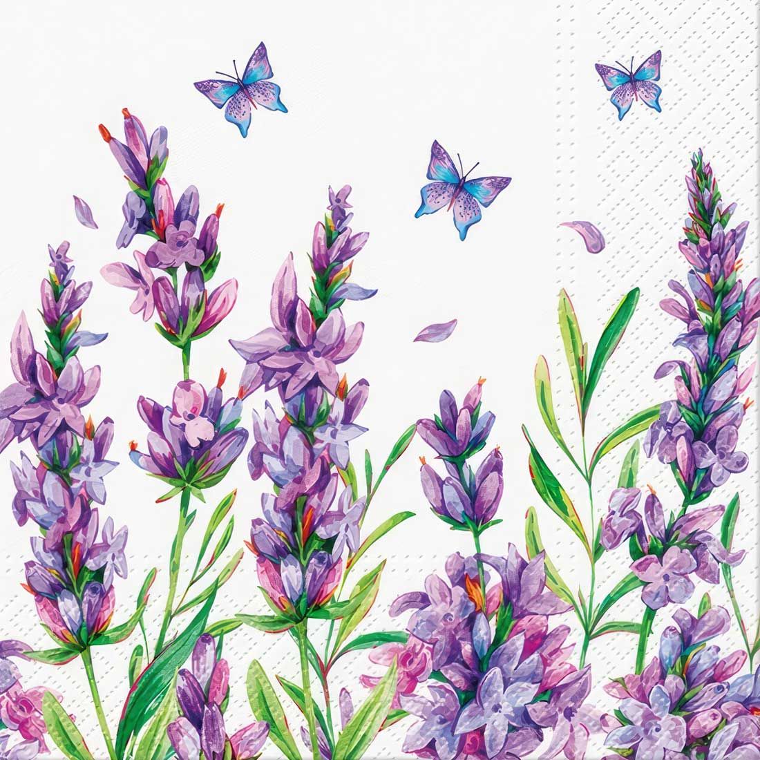 Decoupage Paper Napkins - Floral - Lavender Butterfly

This decoupage paper napkin showcases a serene and delicate design of lavender sprigs in full bloom, rendered in shades of purple and lilac. The tall, slender stalks are complemented by soft green leaves, creating a calming and natural scene. Scattered petals and fluttering blue and purple butterflies add a touch of whimsy and motion to the design. The white background enhances the pastel colors, making the lavender flowers and butterflies pop. This napkin is ideal for adding a soothing, floral touch to any craft project.