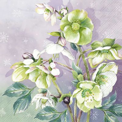 Decoupage Paper Napkins - Floral - Winter Bouquet Light Lilac 

This decoupage paper napkin features an elegant and serene winter floral design, with delicate hellebore flowers as the central focus. The blossoms are rendered in soft shades of green and white, with hints of pink and purple in the buds, creating a gentle contrast against a light lilac background. The backdrop is adorned with subtle, white snowflakes that enhance the wintry feel of the design. The realistic, watercolor-style illustration of the flowers, combined with the cool, muted tones, gives this napkin a sophisticated and tranquil appearance, making it perfect for winter-themed crafts and décor.